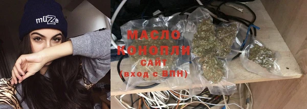 ешки Дмитриев