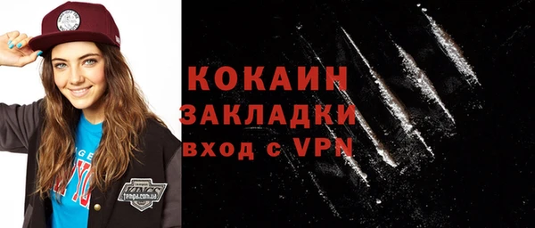 ешки Дмитриев
