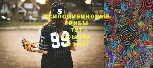 ешки Дмитриев