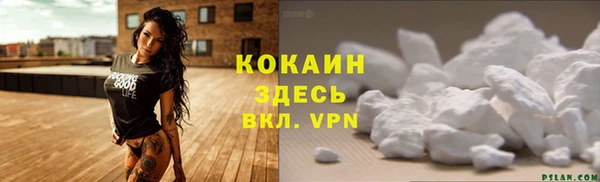 ешки Дмитриев