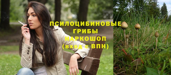 ешки Дмитриев