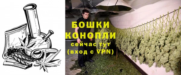 ешки Дмитриев