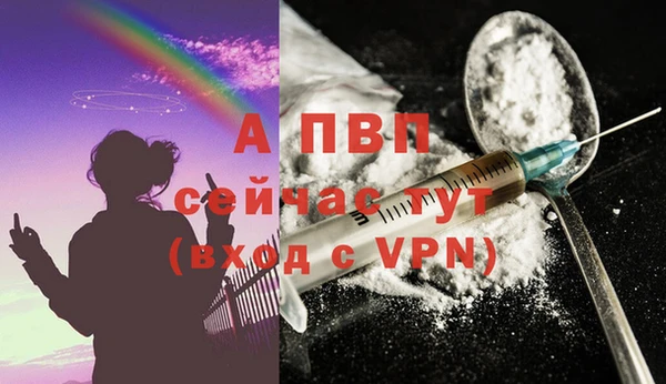 ешки Дмитриев
