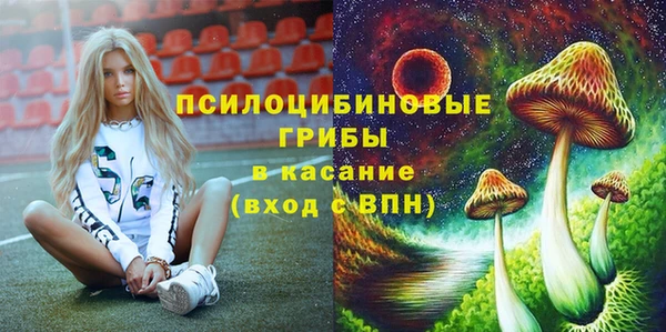 гидра Дмитровск