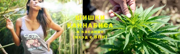 ешки Дмитриев