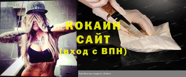ешки Дмитриев