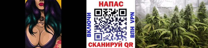 Купить где  Петровск-Забайкальский  МАРИХУАНА LSD WEED 